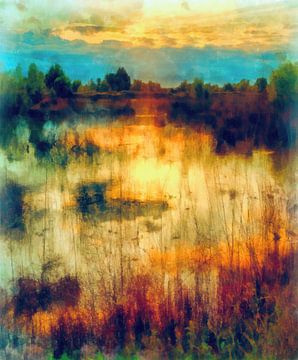 Reflecties op het meer van Angel Estevez