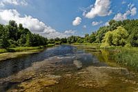 Biesbosch Dordrecht
