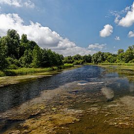 Biesbosch Dordrecht van Carin IJpelaar