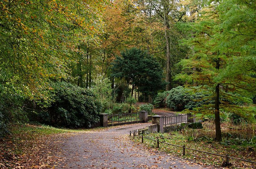 Herfst bosweg by Frank de Ridder