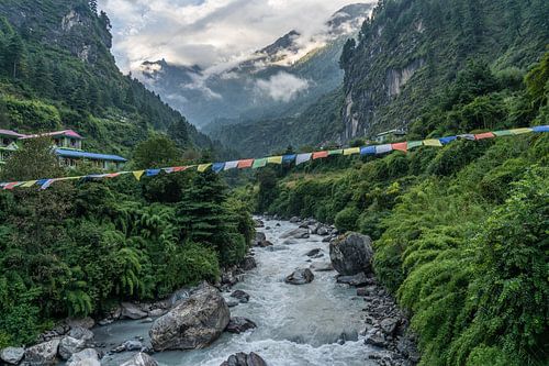 Rivière dans la région de l'Annapurna au Népal
