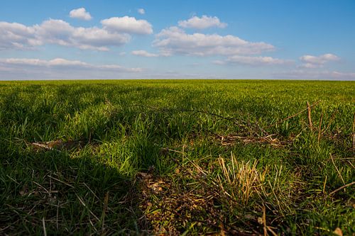 View of the Heuveland in spring in Mechelen, Limburg