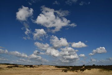 Sand drift with heather by Bernard van Zwol