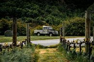 Verlaten Land Rover bij een wijngaard in Nieuw Zeeland. van Niels Rurenga thumbnail