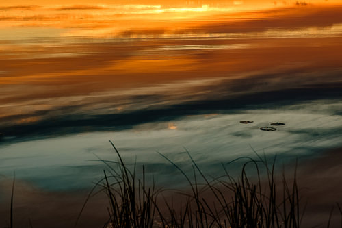 Liquid Light