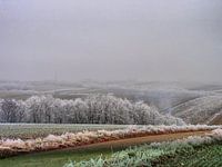 Weinviertel 07