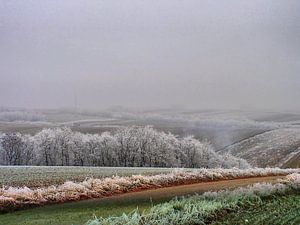 Weinviertel 07
