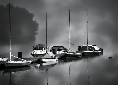 Misty waters
