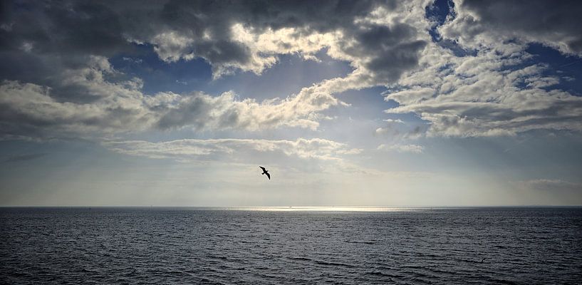 Boot Den Helder-Het Horntje von foto zandwerk