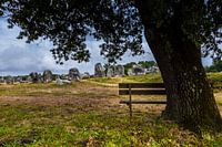Menhirs van Bretagne