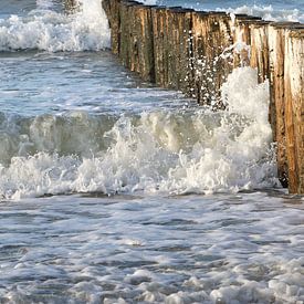 beach with wooden breakwater posts by Arnoud Kunst