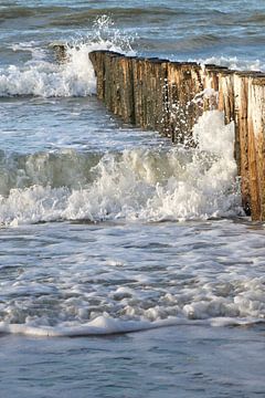 Strand mit hölzernen Wellenbrecherpfosten