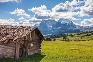 Almhütten auf der Seiser Alm, Blick zum Plattkofel, Südtirol