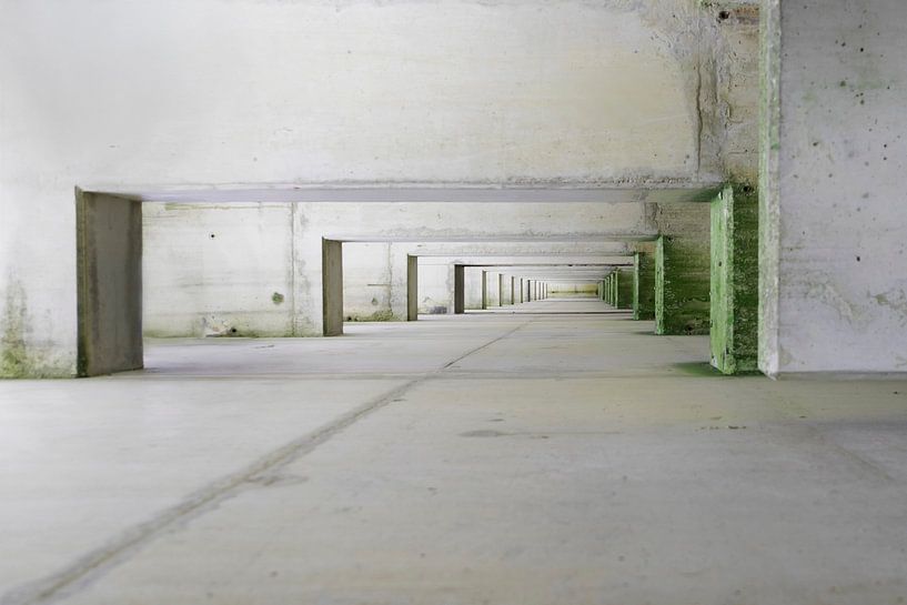 Waterloopbos by Ina Bloemendal