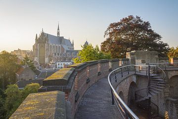 View upon Leiden by Martijn van der Nat