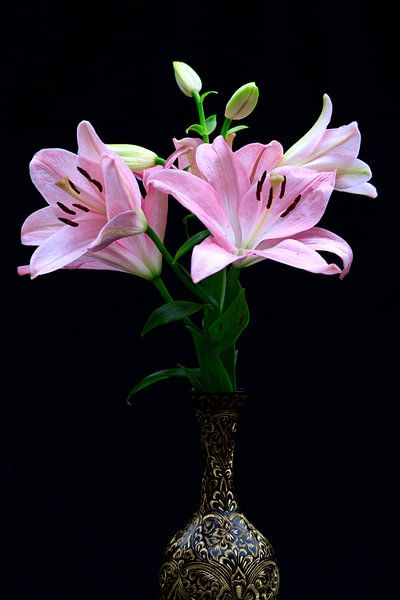 Lilien von Thomas Jäger