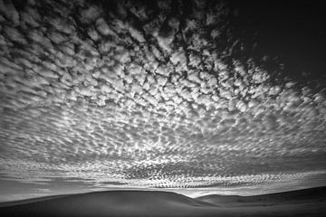 Hollandse duinen in zwartwit van Leendert Noordzij Photography