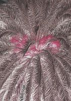 Représentation vivante de feuilles de palmier