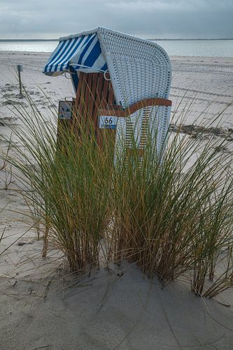 Strandstoel aan de Noordzee met zeegras op Föhr
