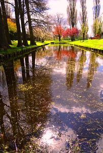 Urban Reflections 65
