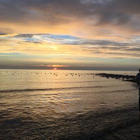 Mick Goeree photo de profil