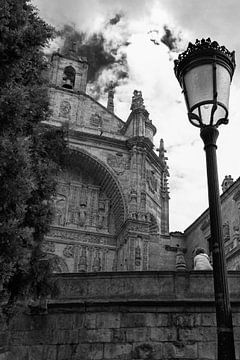 Geschiedenis in Salamanca van Leticia Spruyt