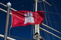 De vlag in de wind.