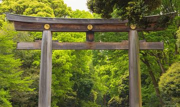 Yoyogi-Park - Tokio (Japan) von Marcel Kerdijk