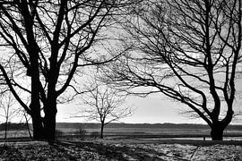 Scherenschnitte von Monique Verlouw