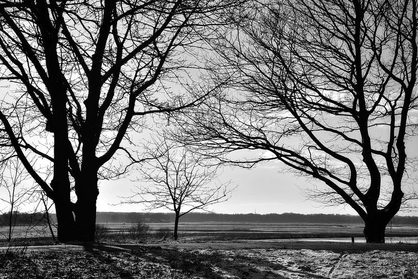 Silhouettes par Monique Verlouw