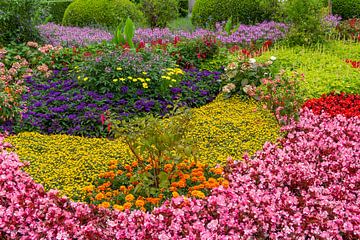 Viele Blühende Blumen von Achim Prill