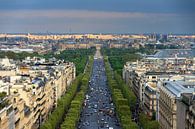 Uitzicht Champs-Eysees vanaf de Arc de Triomphe van Dennis van de Water thumbnail