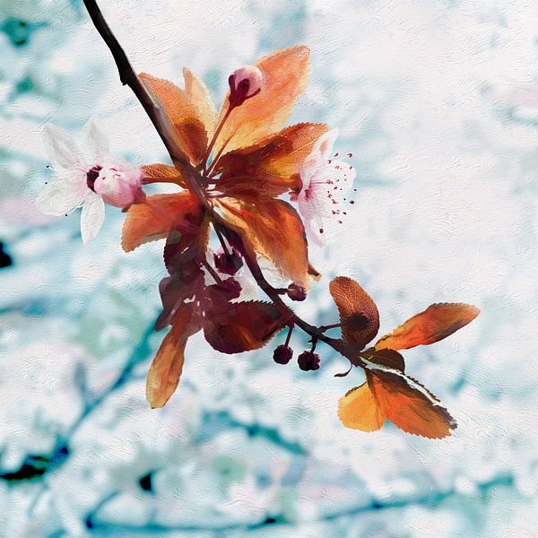 Blossom 2021 par Andreas Wemmje