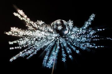 Water drops on fluff with star-shaped bokeh by Bert Nijholt