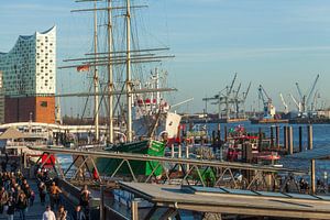 Elbphilharmonie, Elbe, Rickmer Rickmers und Cap San Diego