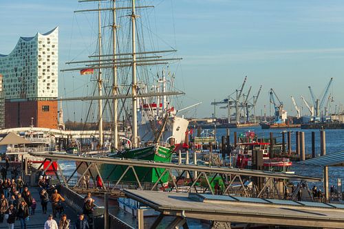 Elbphilharmonie, Elbe, Rickmer Rickmers und Cap San Diego