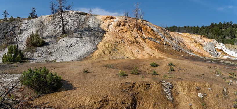 Mammoth Hot Springs, Yellowstone National Park, USA by Jeroen van Deel