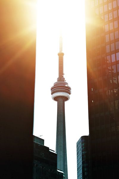 Toronto by Hello Pompoyo
