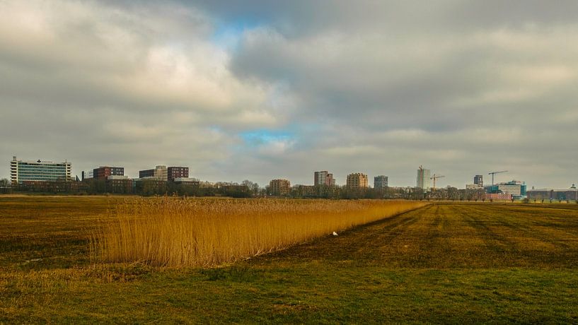 skyline of 's-Hertogenbosch by Freddie de Roeck