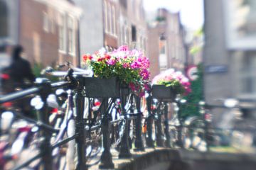 Kleurrijke bloemen op Amsterdamse gracht van Juliette Arts