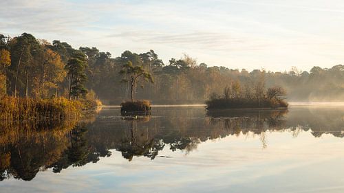 Gouden uur in Oisterwijkse Bossen en Vennen