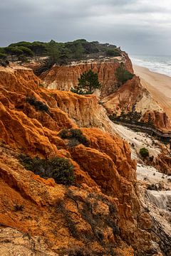 Praia da Falesia, Portugal von Winne Köhn