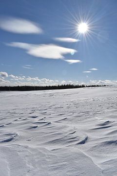 Een veld onder de sneeuw op een koude februaridag van Claude Laprise