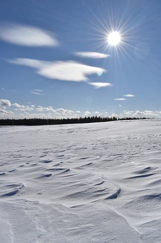Een veld onder de sneeuw op een koude februaridag