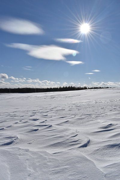 A field covered in snow on a cold February day by Claude Laprise
