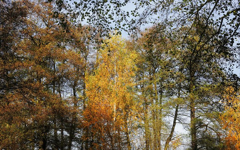 Spreewald von Thomas Jäger