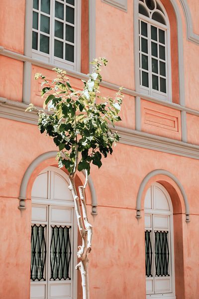 Façade rose de l'Espagne, l'Europe avec un mur vert au premier plan par AIM52 Shop