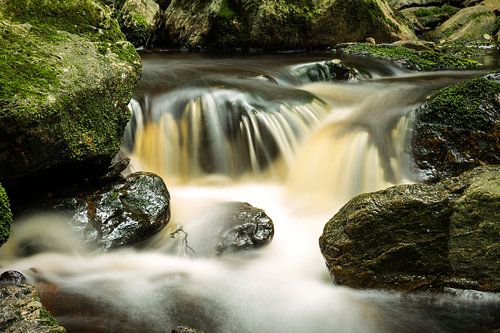 Vallée de la Hoëgne, Ardennen (België)