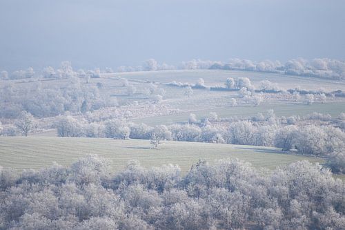 Landschap Causses du Quercy winter van Liesbet den Daas
