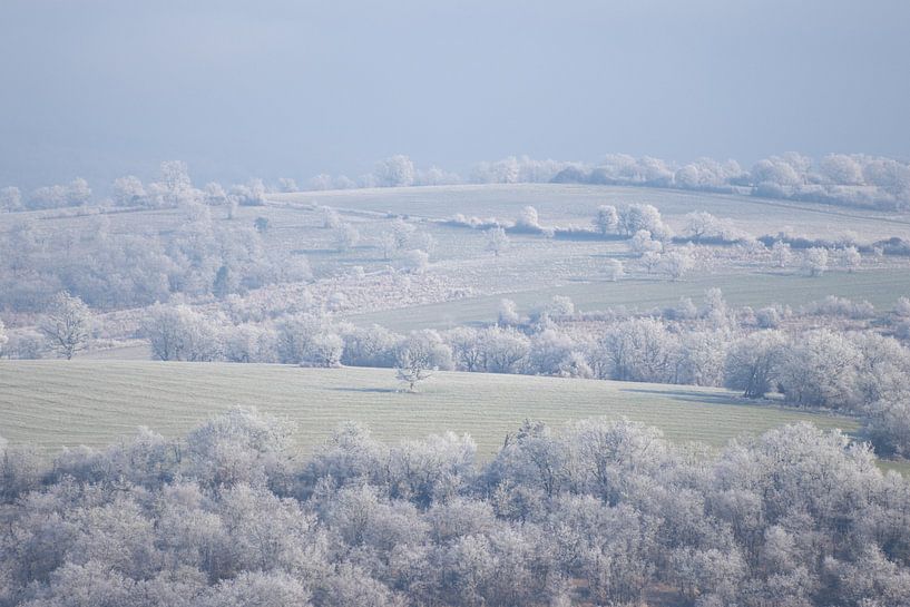 Landschaft der Causses du Quercy im Winter von Liesbet den Daas
